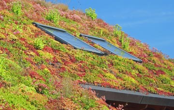 Bickleton living roof systems